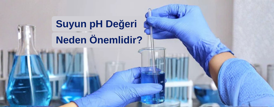 Suyun pH Değeri Neden Önemlidir?
